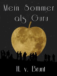 ebook: Mein Sommer als Guru