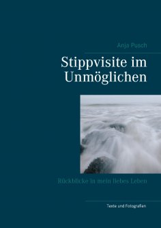 eBook: Stippvisite im Unmöglichen