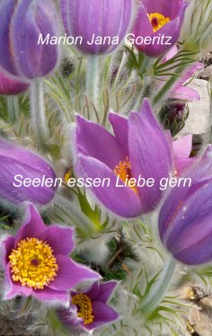 eBook: Seelen essen Liebe gern