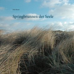 ebook: Springbrunnen der Seele