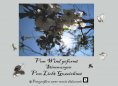 eBook: Vom Wind geformt, Stimmungen vom Licht gezeichnet