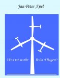 eBook: Was ist wahr beim Fliegen?