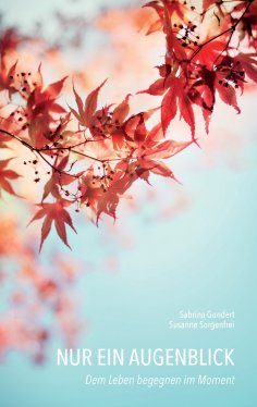 eBook: Nur ein Augenblick