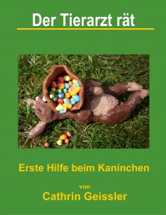 eBook: Der Tierarzt rät - Erste Hilfe beim Kaninchen