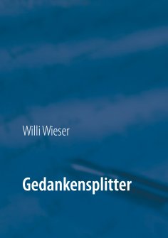 ebook: Gedankensplitter