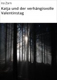 ebook: Katja und der verhängisvolle Valentinstag