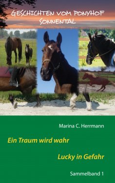eBook: Geschichten vom Ponyhof Sonnental