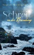 eBook: Schrei in der Brandung