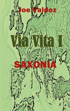 ebook: Via Vita I