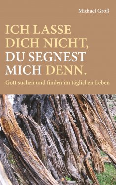 ebook: Ich lasse dich nicht, du segnest mich denn.