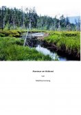 ebook: Abenteuer am Waldrand