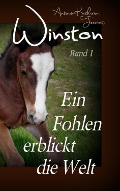 ebook: Winston - Ein Fohlen erblickt die Welt