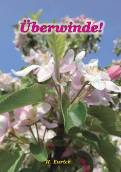 ebook: Überwinde