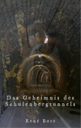 eBook: Das Geheimnis des Schulenbergtunnels
