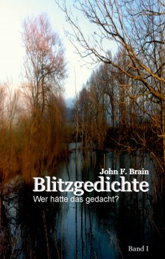 eBook: Blitzgedichte