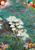 eBook: Das magische Jahr