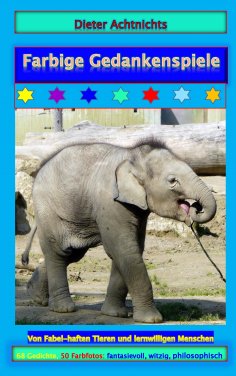 ebook: Farbige Gedankenspiele
