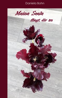 ebook: Meine Seele fliegt dir zu