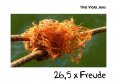 eBook: 26,5 x Freude