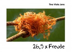 eBook: 26,5 x Freude