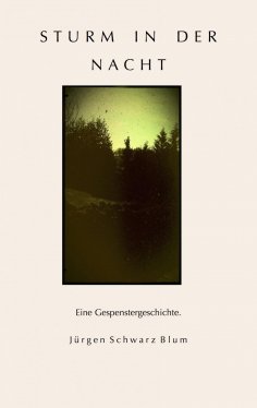 eBook: Sturm in der Nacht