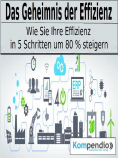 eBook: Das Geheimnis der Effizienz