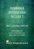 eBook: Enseñanza diferenciada en clase I