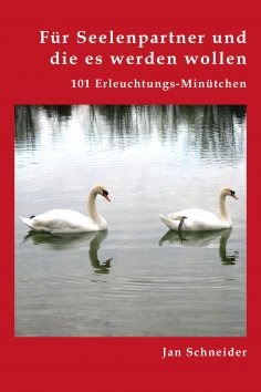 ebook: Für Seelenpartner und die es werden wollen