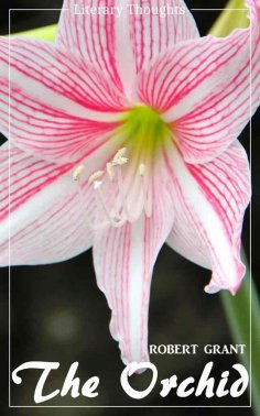 eBook: The Orchid (Robert Grant) - with the original illustrations - (Literary Thoughts Edition)