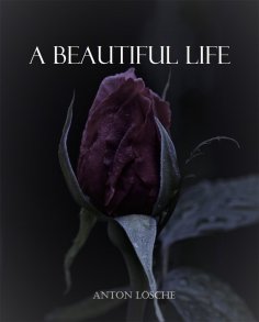eBook: A Beautiful Life