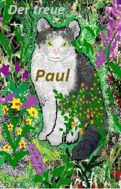 eBook: Oma Elli erzählt: Der treue Paul