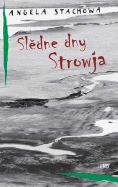 ebook: Slědne dny Strowja