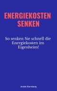 eBook: Energiekosten senken