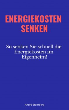eBook: Energiekosten senken