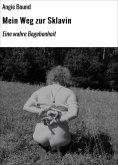 eBook: Mein Weg zur Sklavin