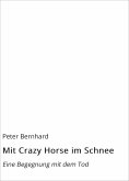 eBook: Mit Crazy Horse im Schnee