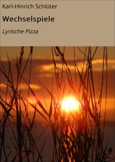 eBook: Wechselspiele