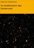 eBook: So funktioniert das Universum