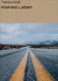 ebook: Kleines Leben