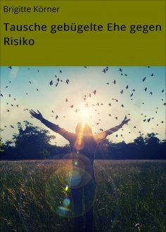 ebook: Tausche gebügelte Ehe gegen Risiko