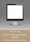 ebook: Für Ihre Meinung bezahlt werden