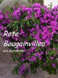 eBook: Rote Bougainvillea