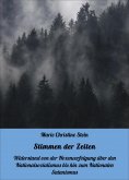 ebook: Stimmen der Zeiten