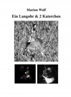 eBook: Ein Langohr & 2 Katerchen