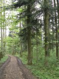 eBook: Sehr gut