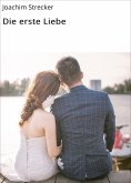 ebook: Die erste Liebe