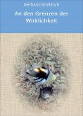 ebook: An den Grenzen der Wirklichkeit
