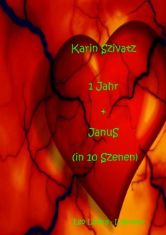 eBook: 1 Jahr und JanuS