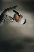 eBook: Spiegel meiner Seele