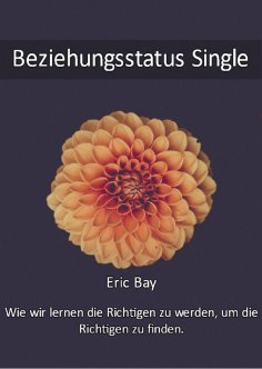 eBook: Beziehungsstatus Single